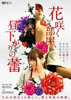赤道以北 冒险电影高清在线播放